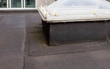 disadvantages of Victoria Park flat roofs