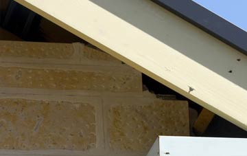 soffit repair Victoria Park