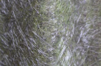 Victoria Park fibreglass roof work